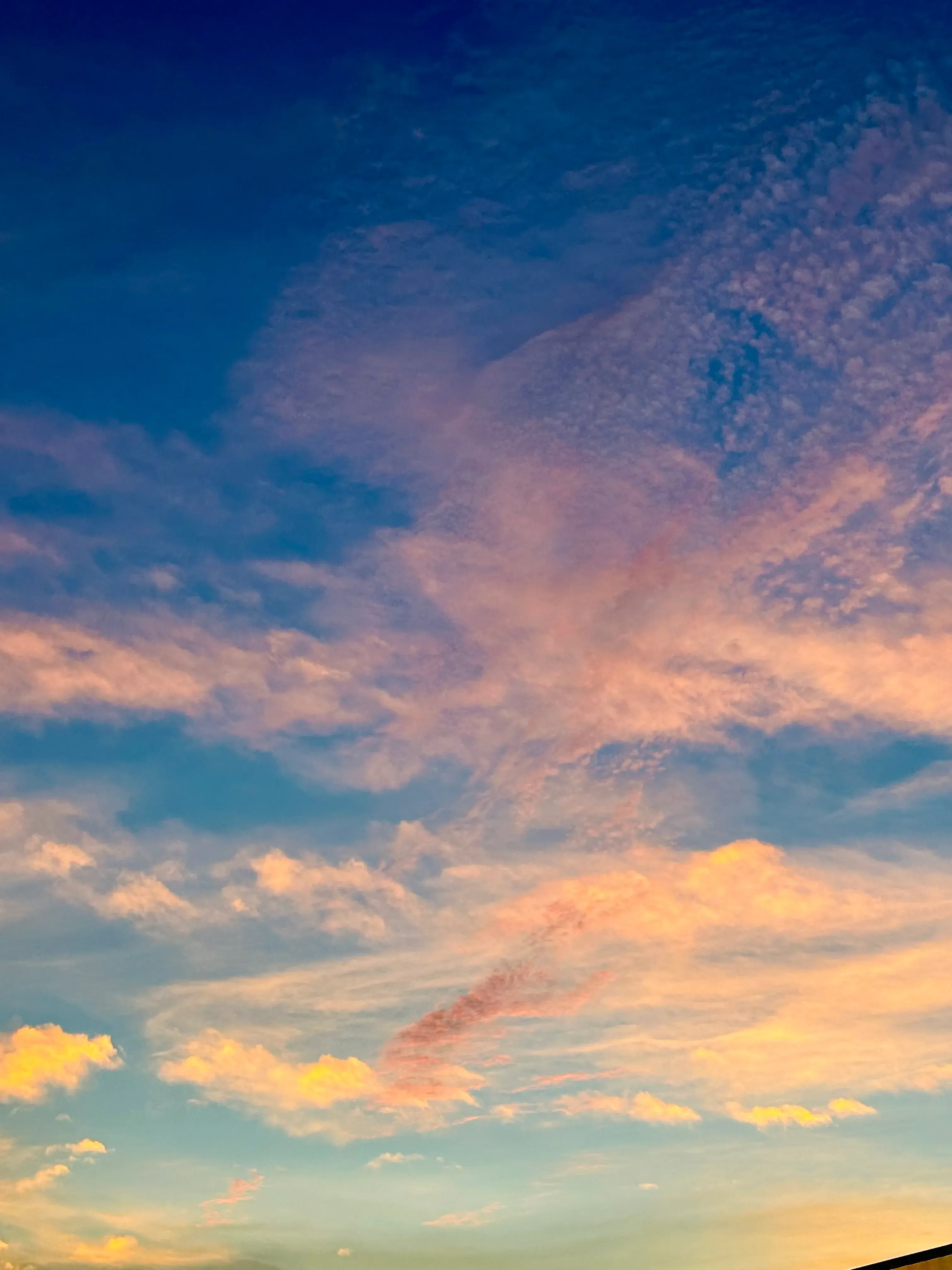 images/2023/9/3/2023-9-3-1693699896267.webp