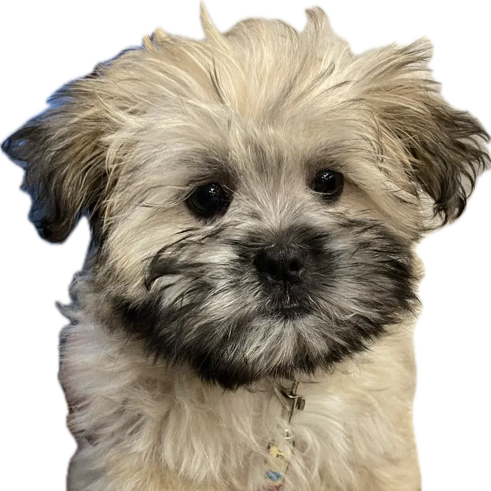 TikTok에서 만나봐😉