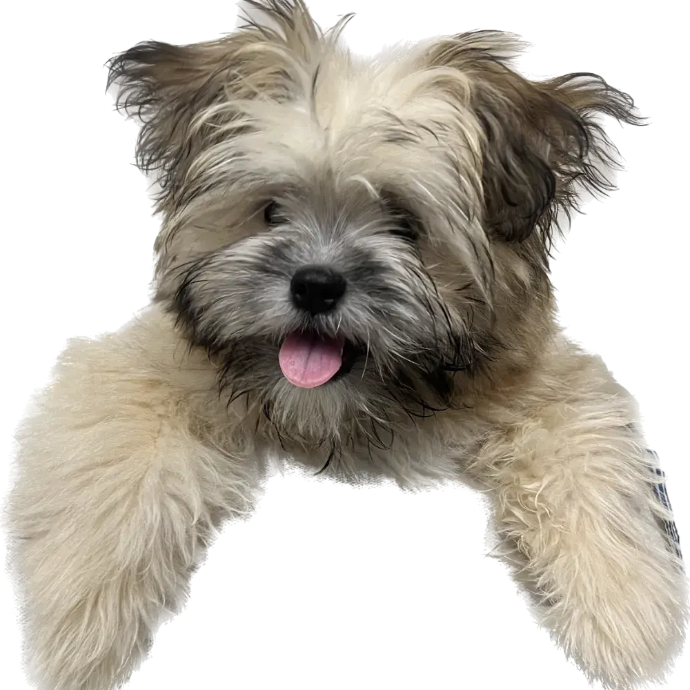 투머치토커 렛서맘의 렛서육아 블로그