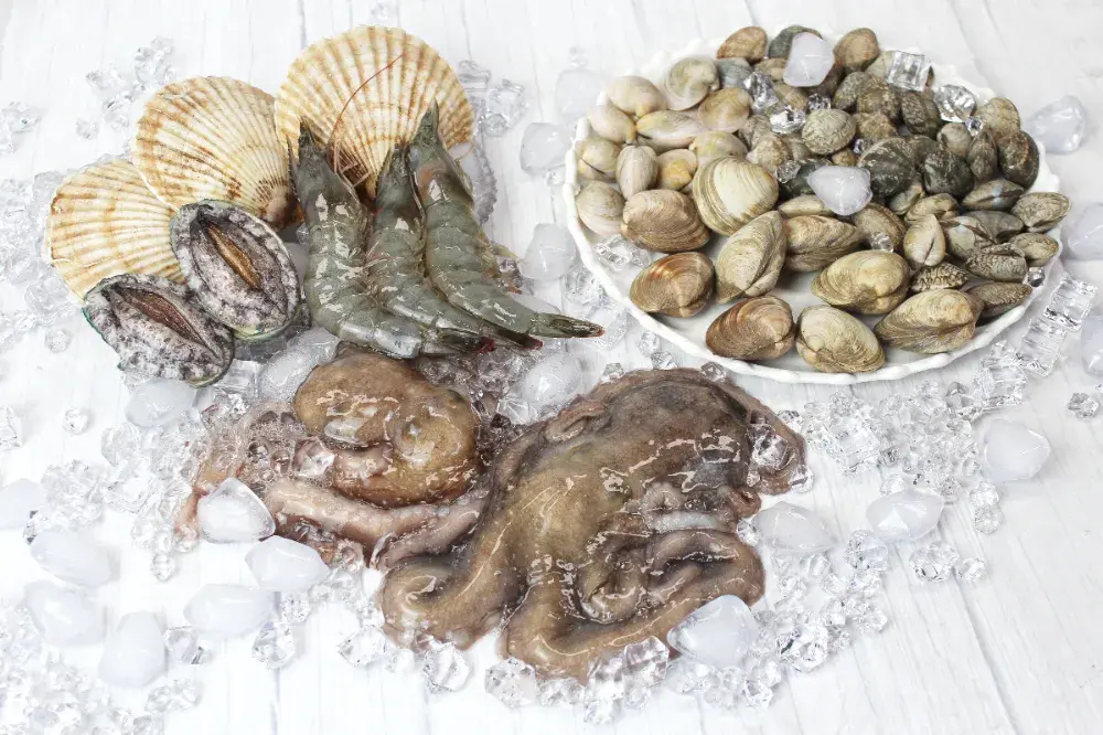 산낙지 1+1 연포탕