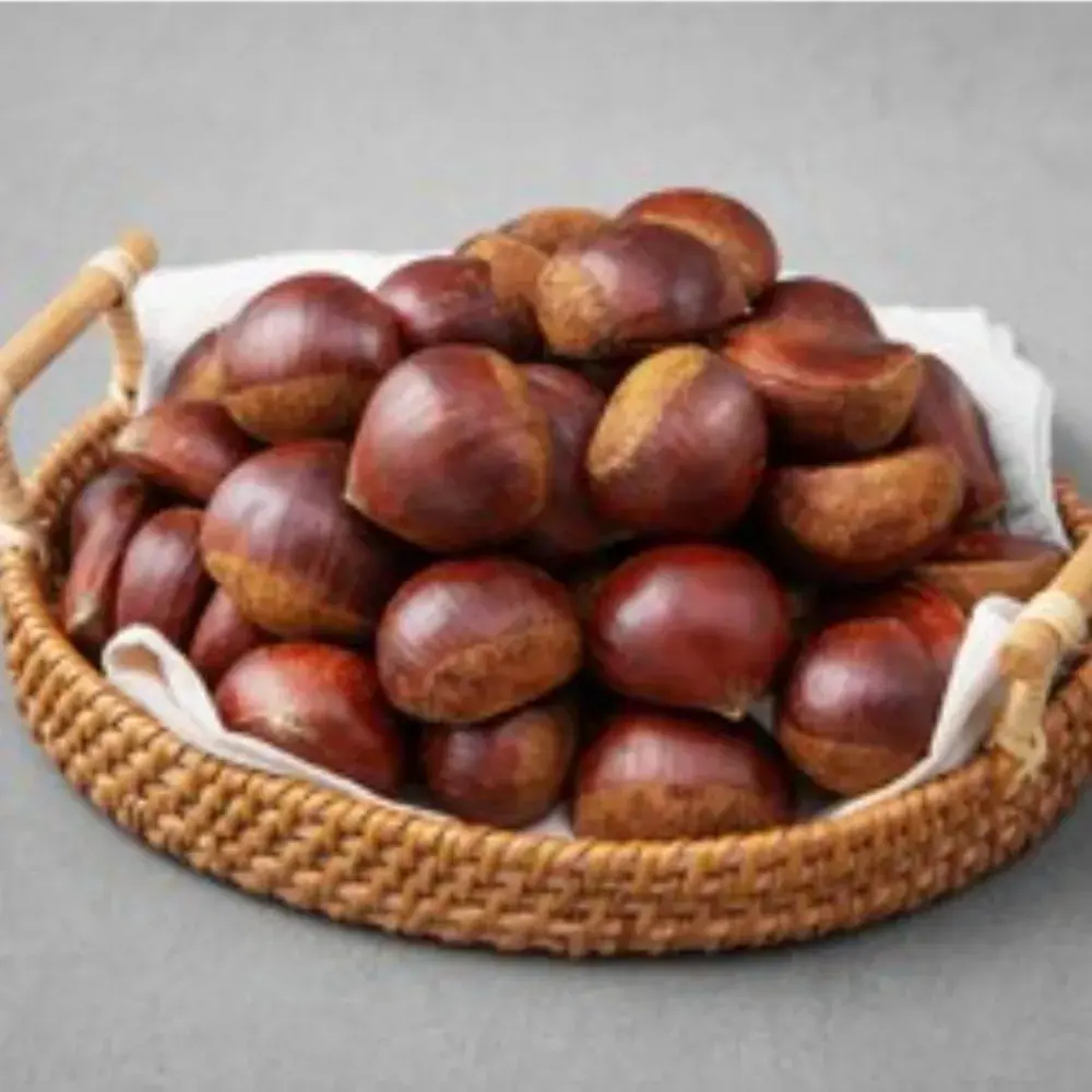 껍질이 훌렁 포르단밤!