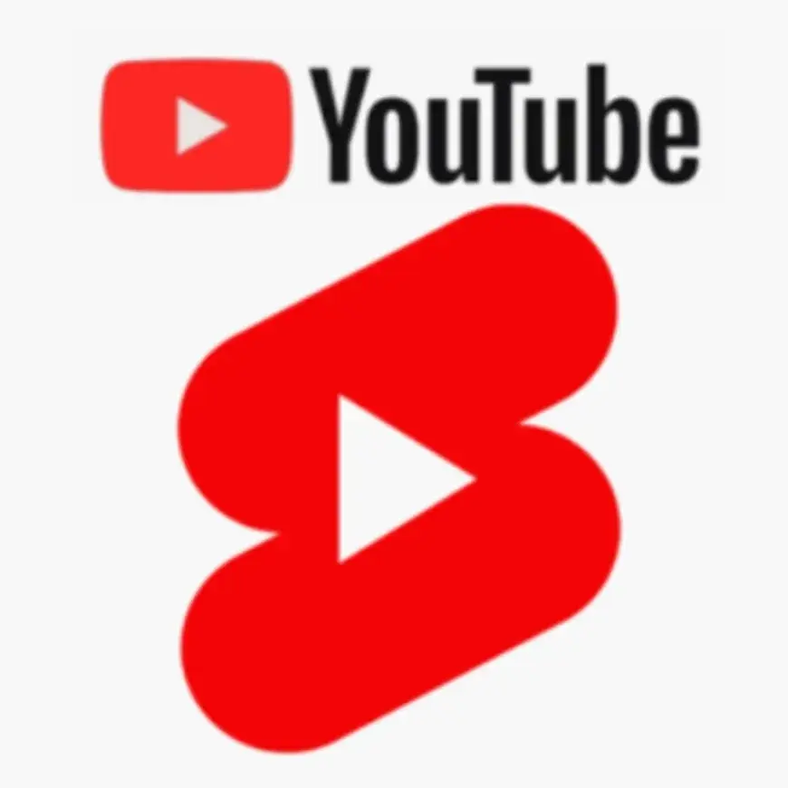 노빠꾸[노(No)+ 빠꾸(BackQ)] 생생리뷰 유튜브 쇼츠