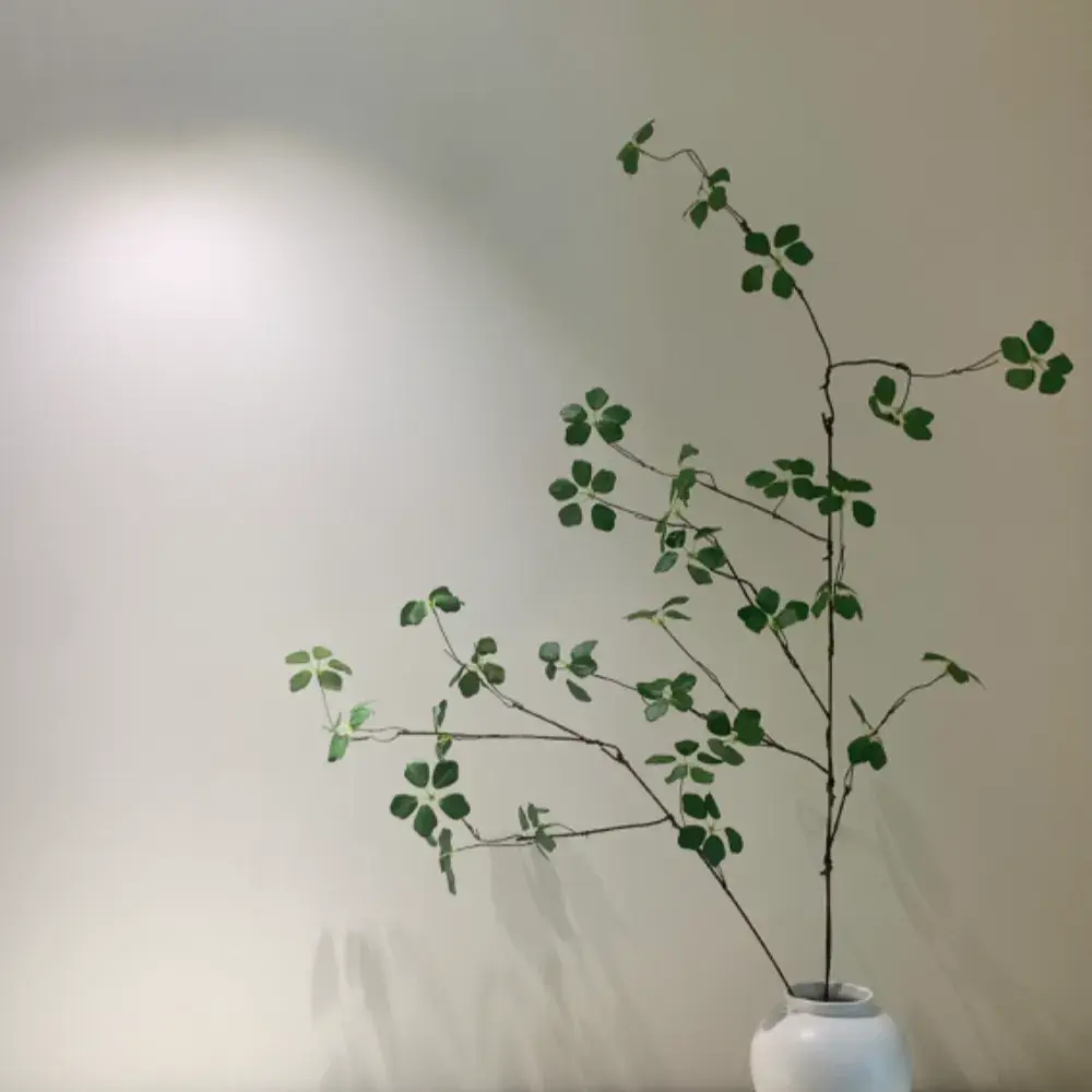 오오홈 신발장/전실 제품정보