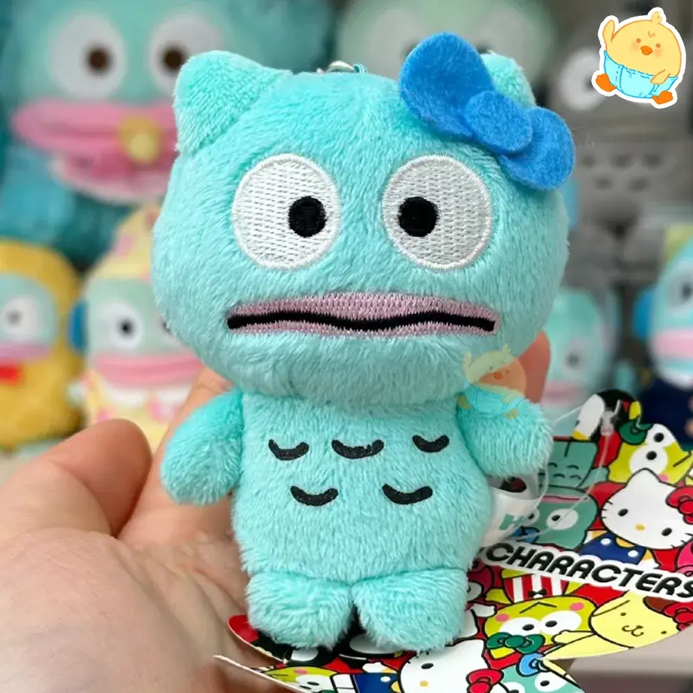 🎀키티한교동🎀