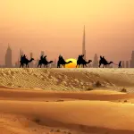 images/2024/10/8/2024-10-8-1728377543455.webp