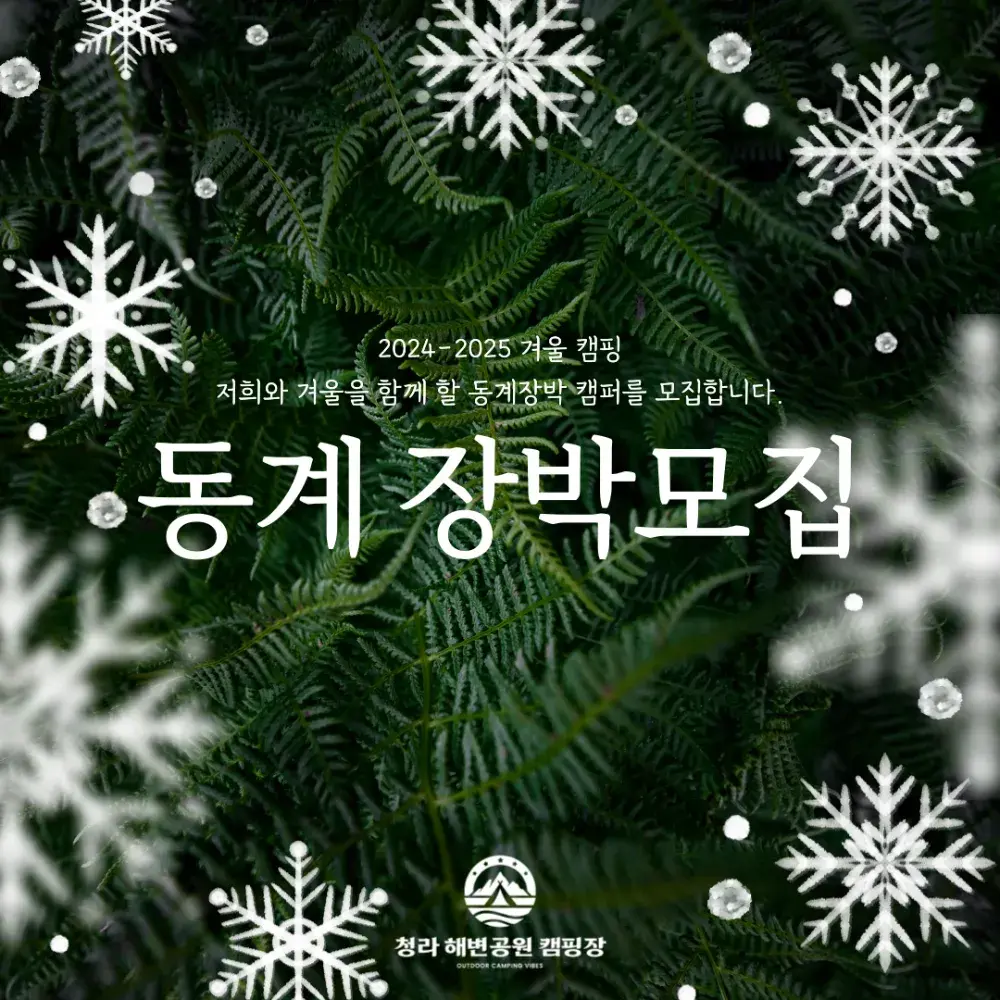 동계장박 신청가능 (가격 전화문의)﻿˚₊·—̳͟͞͞♡