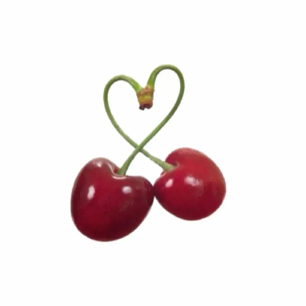 📽️ 주낑깡 일상 브이로그