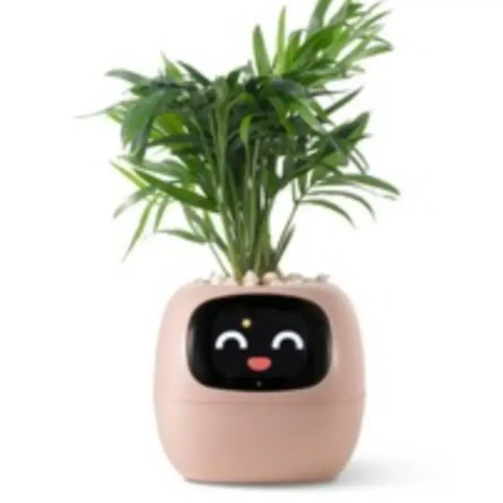 아이비 스마트 화분!