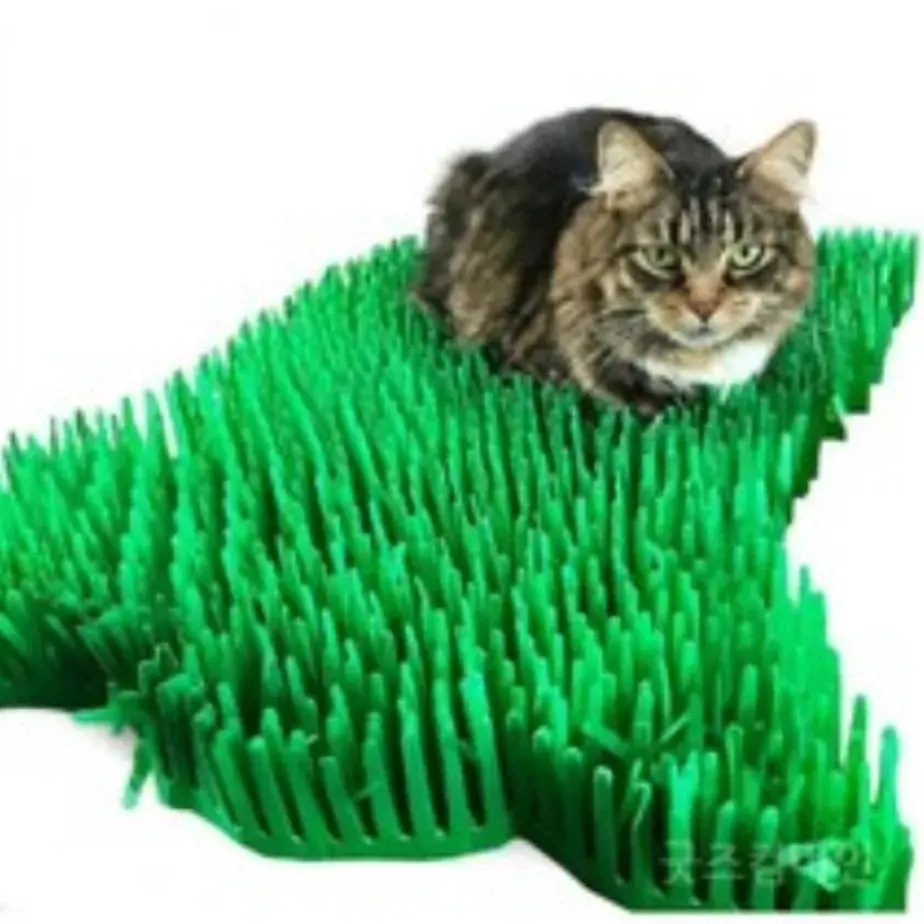 고양이가 너무 좋아함! 캣 잔디 매트!