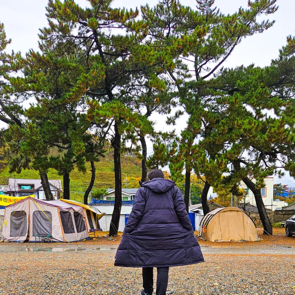 테라우드 베이직 롱패딩