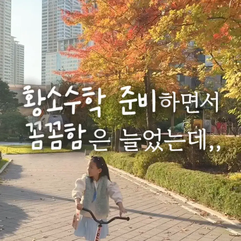 무료 연산 사이트, 이것만으로 충분!