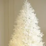 images/2024/11/6/2024-11-6-1730863543898.webp