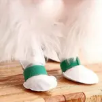 images/2024/12/11/2024-12-11-1733909702446.webp