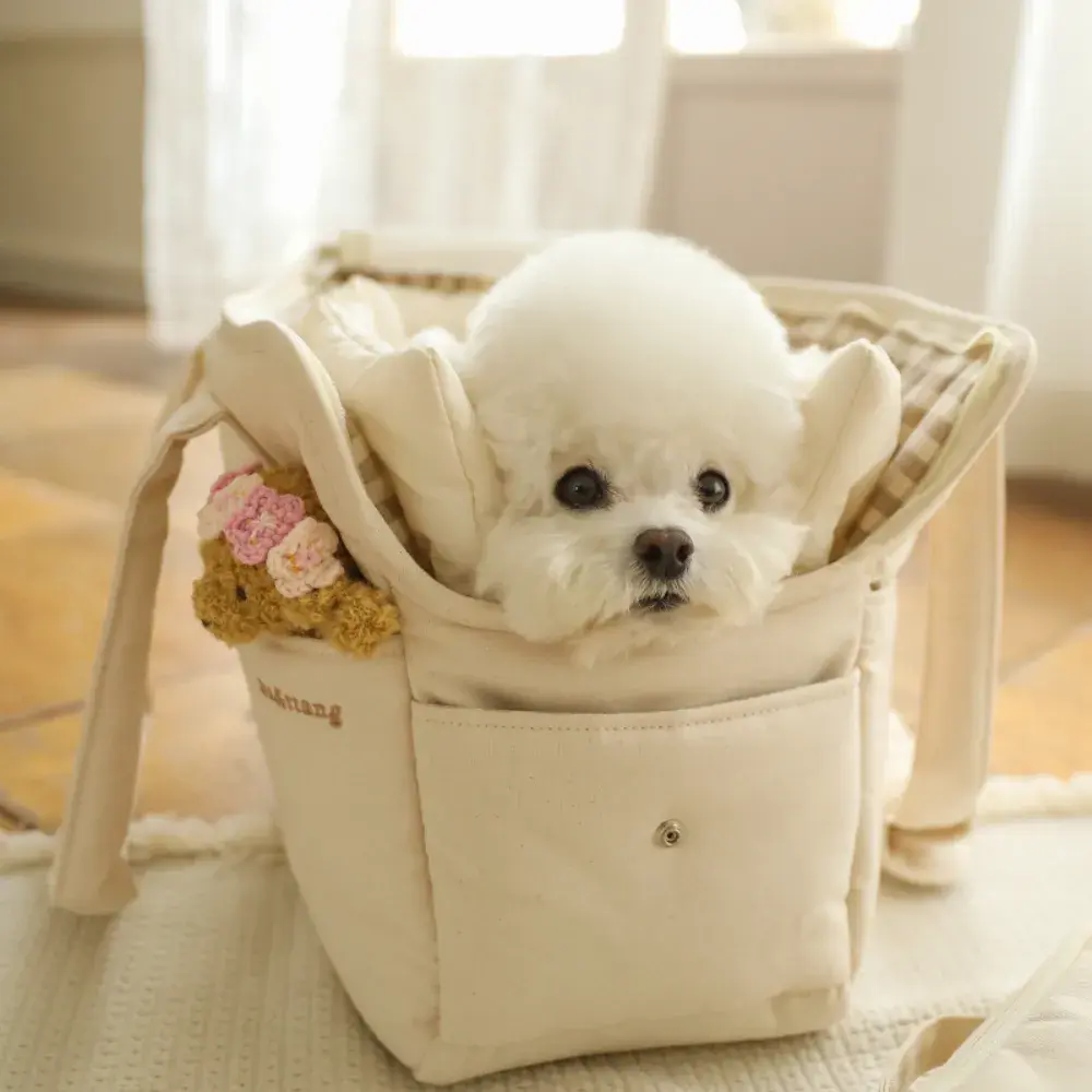 바앤땅 이동가방 보러가기