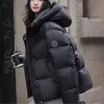 images/2024/12/18/2024-12-18-1734513086539.webp