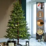 images/2024/12/20/2024-12-20-1734682465914.webp