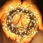 images/2024/12/20/2024-12-20-1734682497344.webp