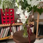 images/2024/12/3/2024-12-3-1733218623710.webp