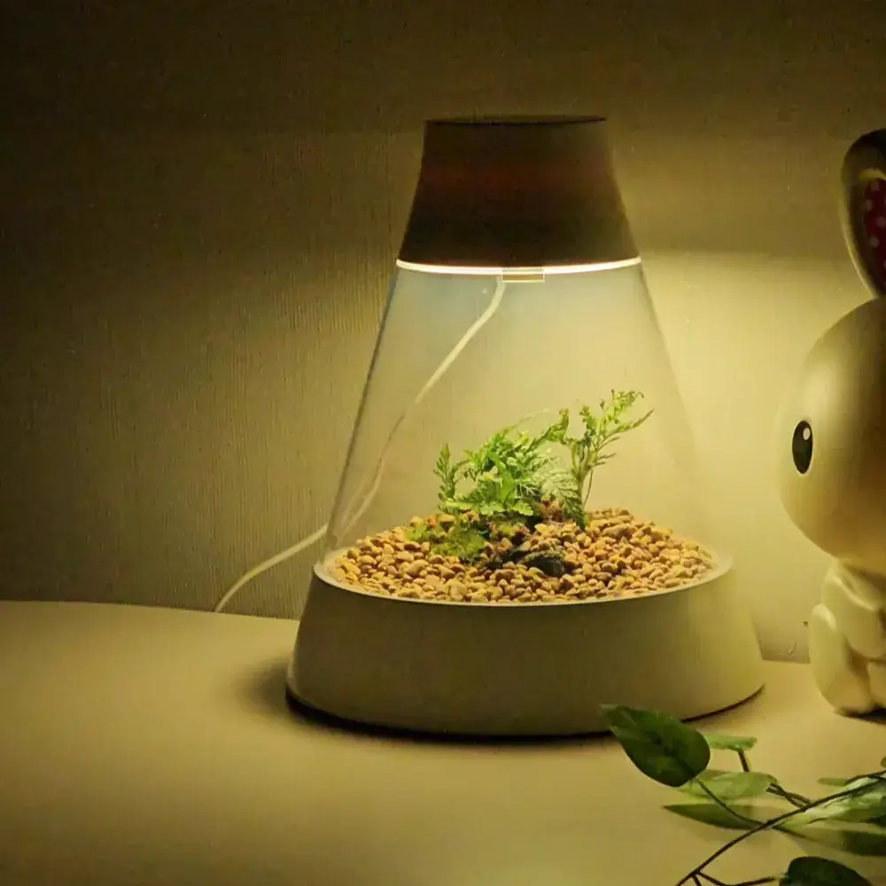 🔸️모글모글 이끼테라리움diy🔸️손쉬운 나만의 테라리움! 식멍~하며 힐링해요