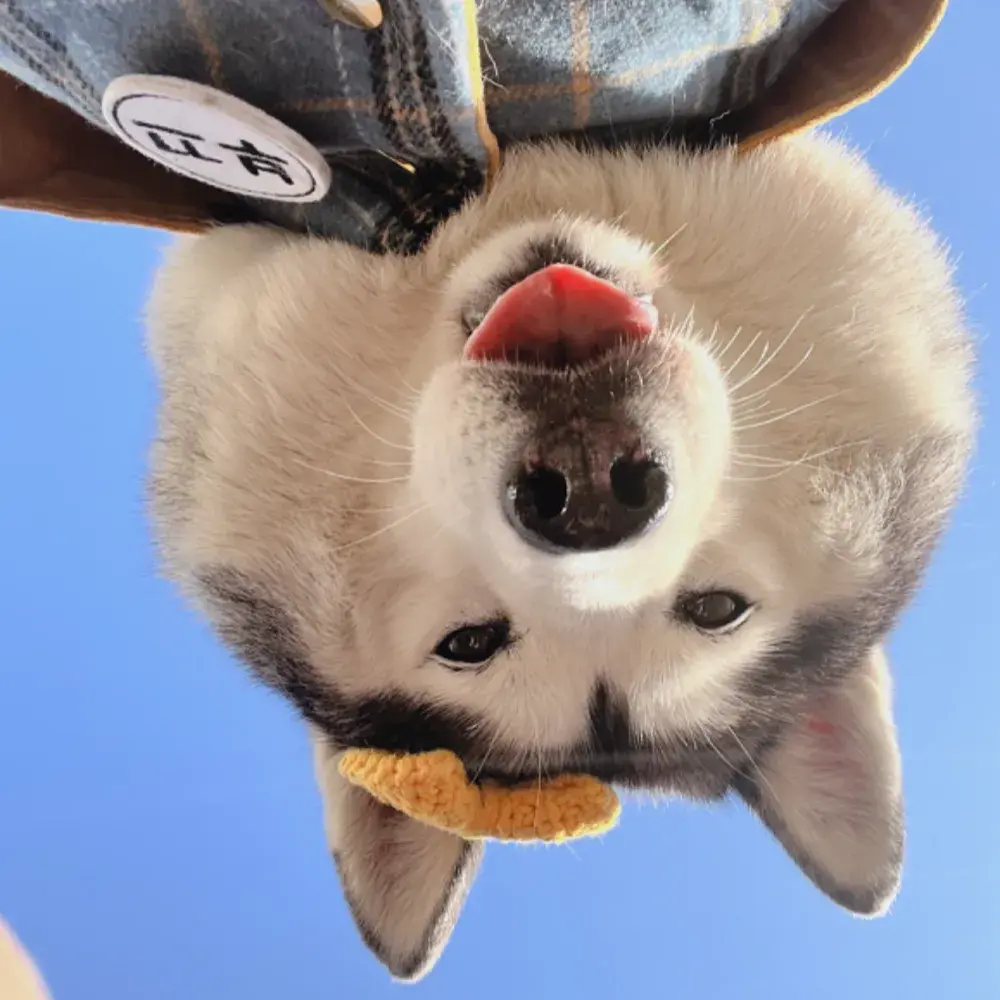 부끄네이버 모먼트