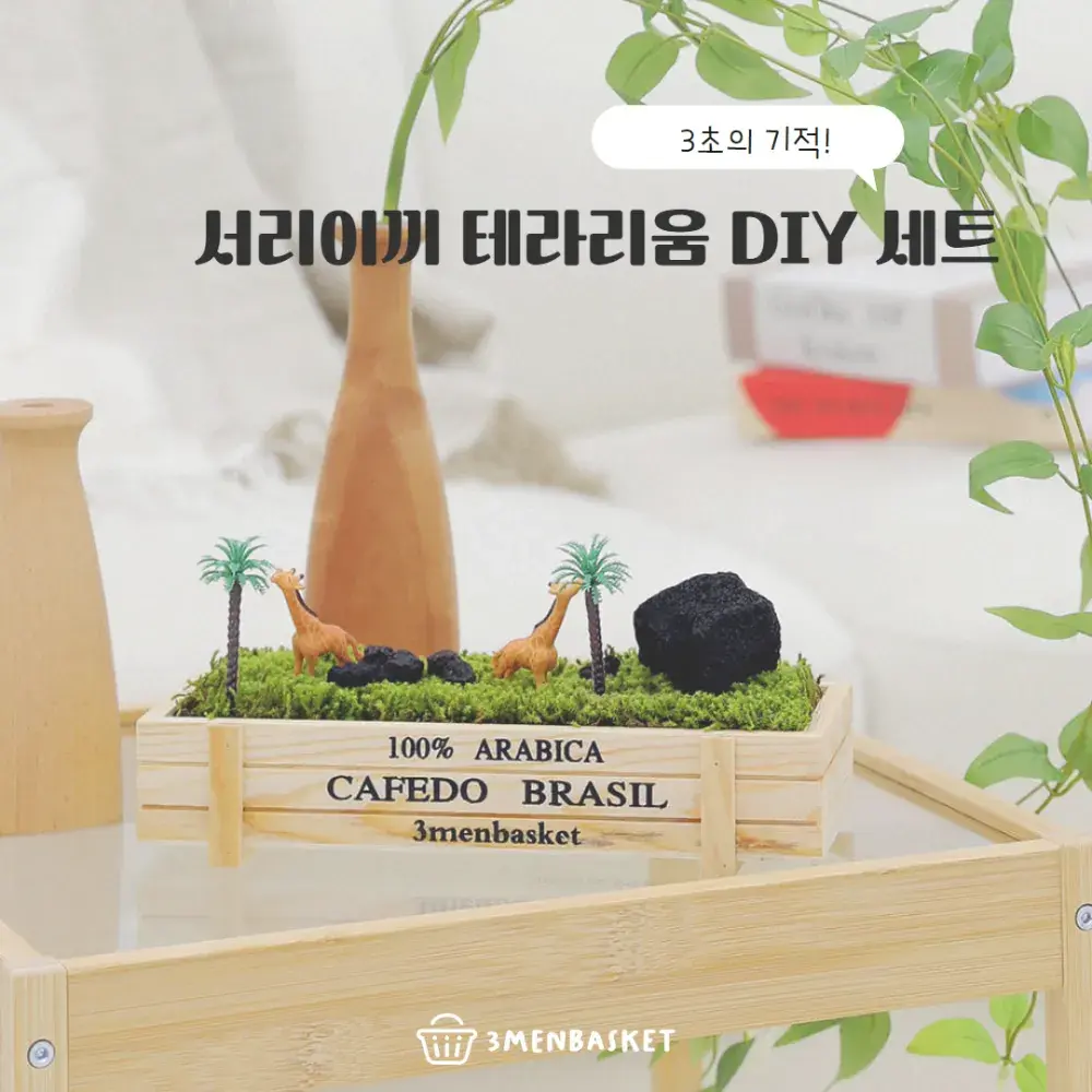 💖출시기념 할인중🌿서리이끼 테라리움 DIY 세트