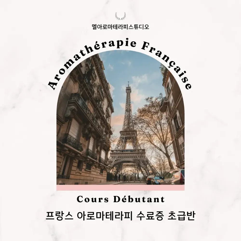 멜아로마 자체 제작 교재! 수료증 과정 개강📣