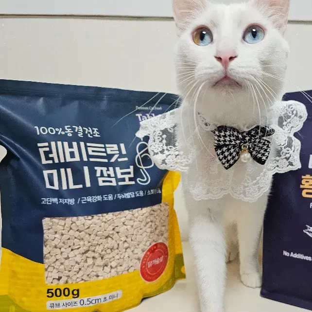 대용량이 이가격! 고양이,강아지 간식 테비트릿 미니점보🔸️작아서 먹이기 좋아용