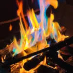 images/2024/3/31/2024-3-31-1711927440355.webp