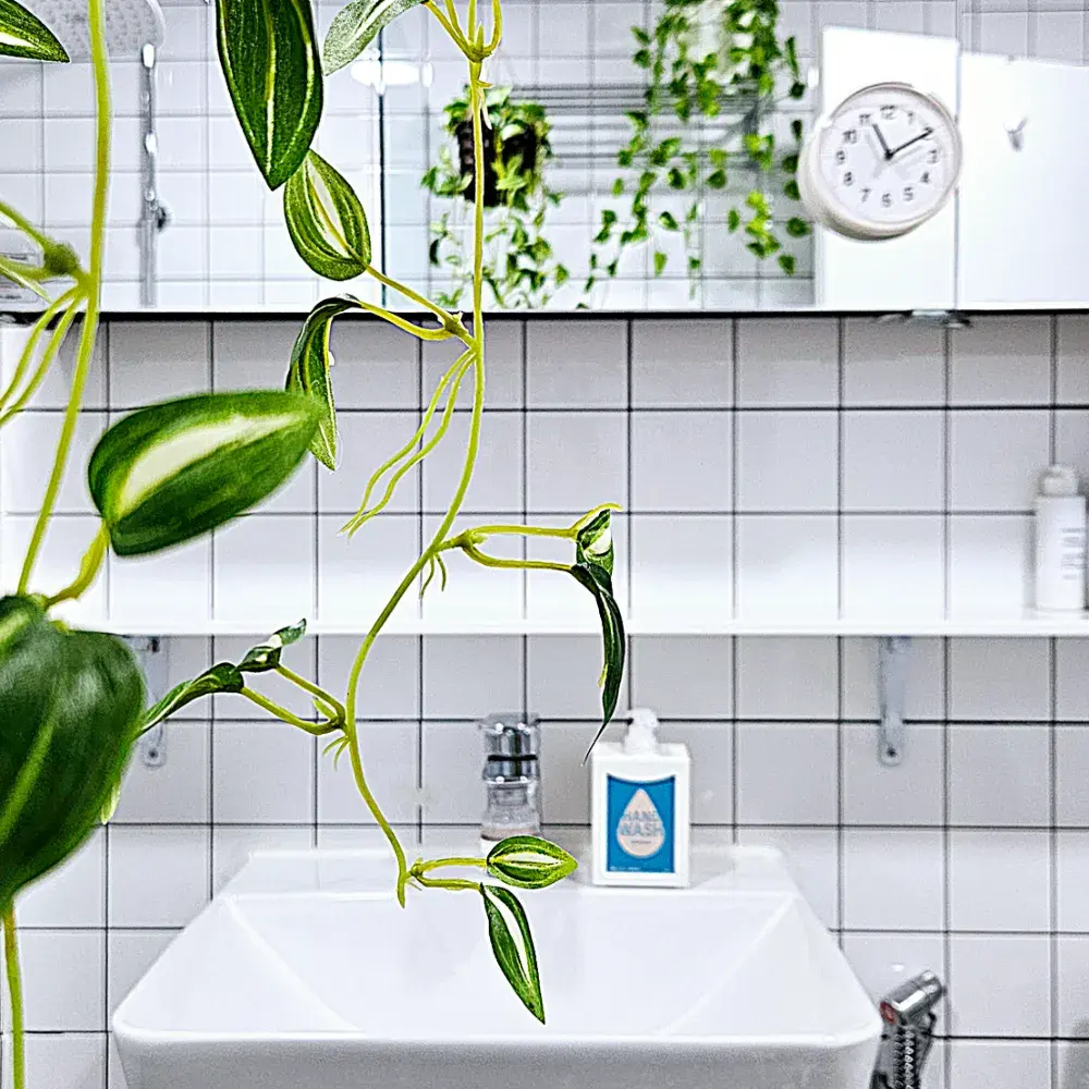 욕실 방수 시계