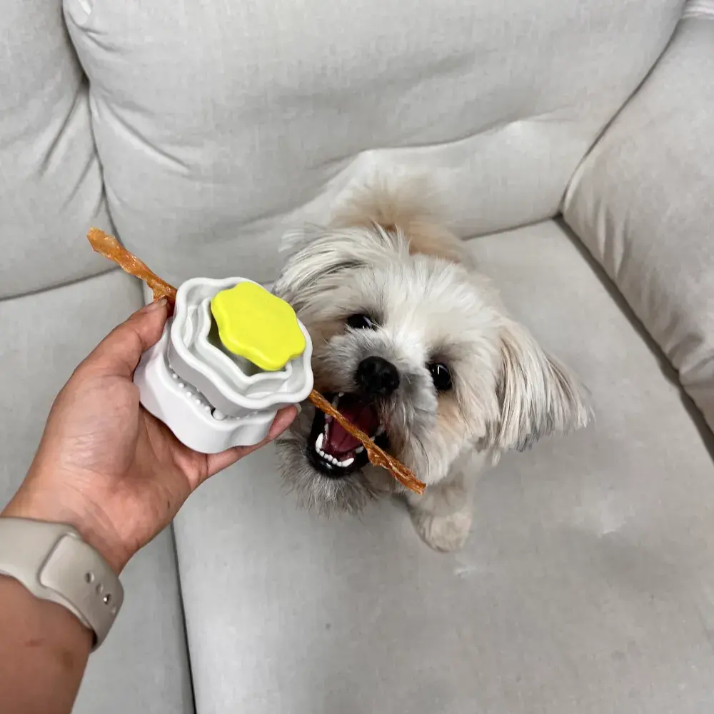 < 푸드 클립 > 스스로 잡고 먹기도 편하고, 오래 먹어요! 간식 꿀꺽 방지템 !