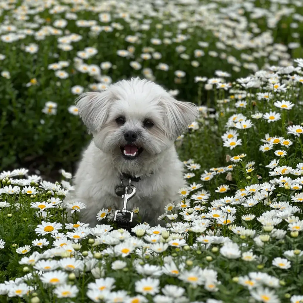 렛서네가 꾸준히 사용하는 찐템 소개👍🏻
