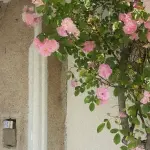 images/2024/4/18/2024-4-18-1713430775768.webp