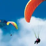 images/2024/4/19/2024-4-19-1713500614879.webp