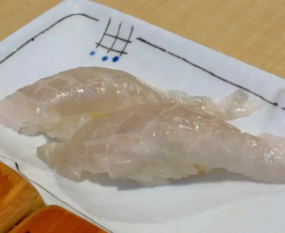광어지느러미