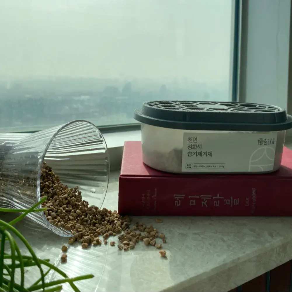 온다숲,, 숲이 내게로 온다