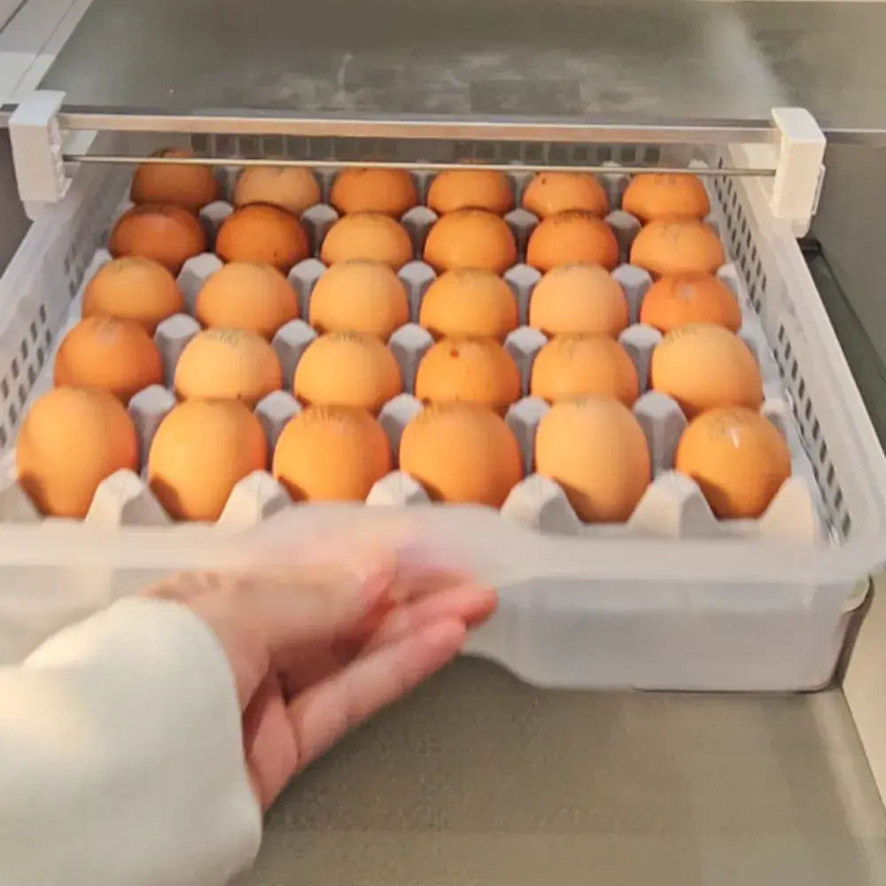 계란 한 판 넣는 트레이