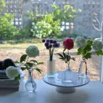 images/2024/4/3/2024-4-3-1712110358121.webp