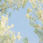 images/2024/4/5/2024-4-5-1712290607385.webp