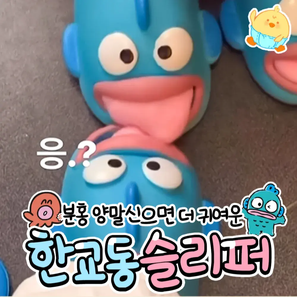 🩵한교동슬리퍼🩵