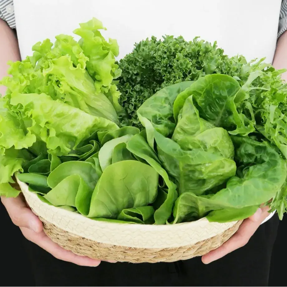 무농약 산지직송 유러피안 샐러드