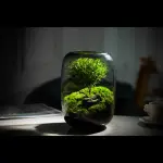 images/2024/5/15/2024-5-15-1715798464746.webp