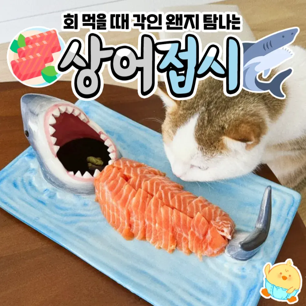 🦈상어접시🦈