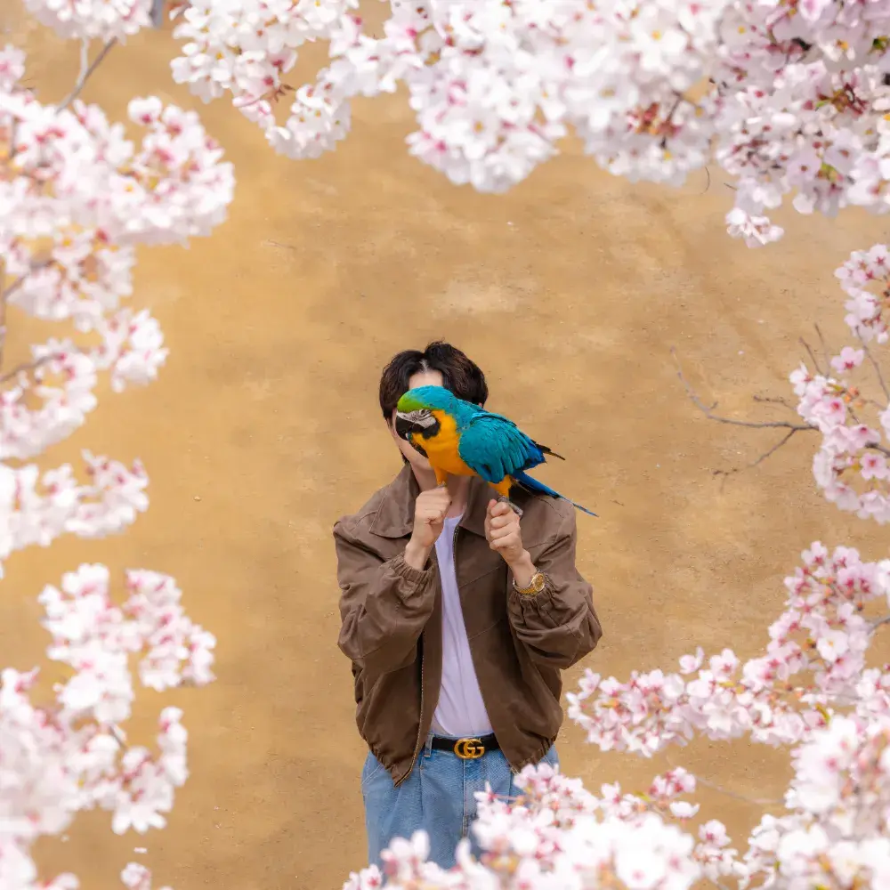 촬영 & 인터뷰 및 비즈니스 제안