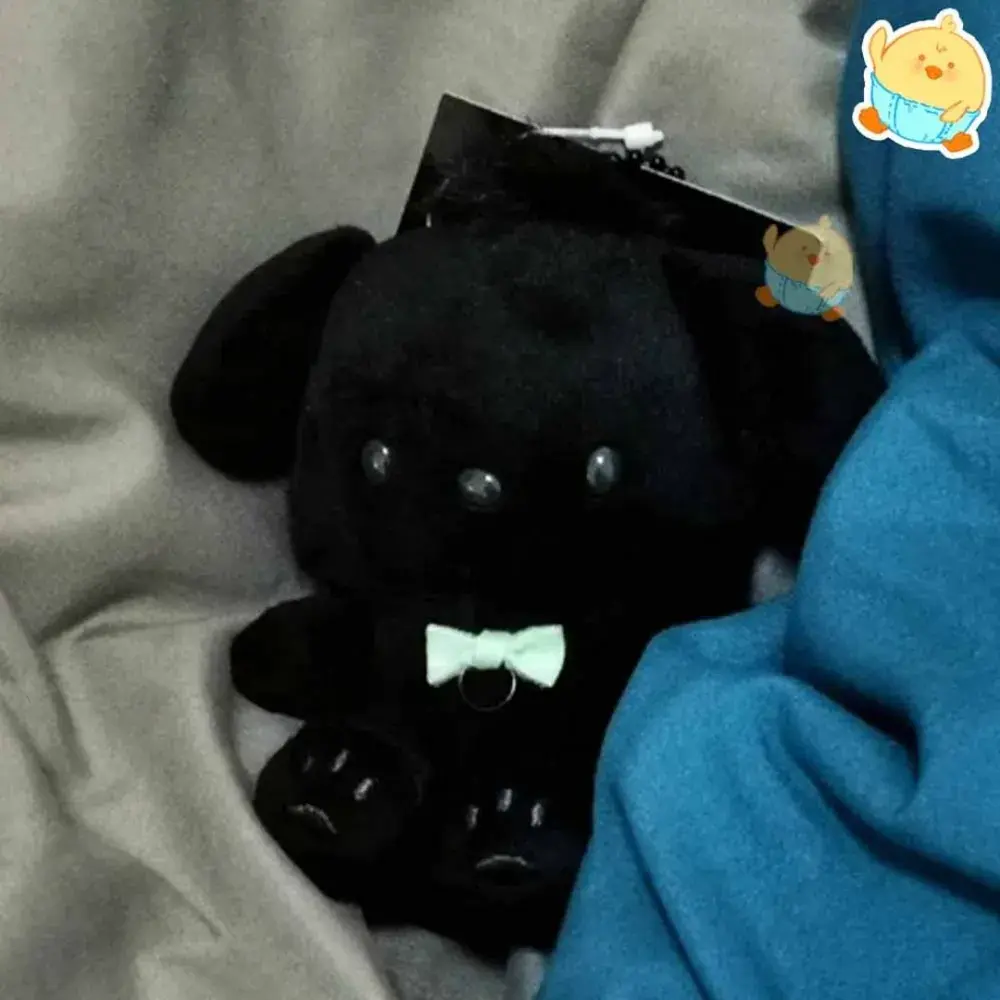 🖤산리오블랙인형🖤