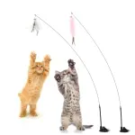 images/2024/6/12/2024-6-12-1718192678960.webp