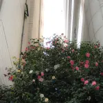 images/2024/6/2/2024-6-2-1717287996621.webp