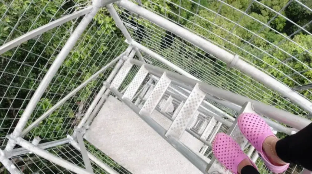 브루나이여행 울루템브룽 국립공원 정글투어