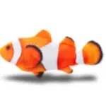 images/2024/6/26/2024-6-26-1719418255287.webp