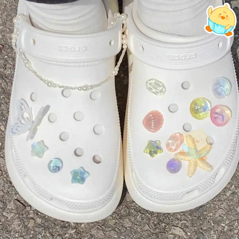 🪸바다지비츠🪸