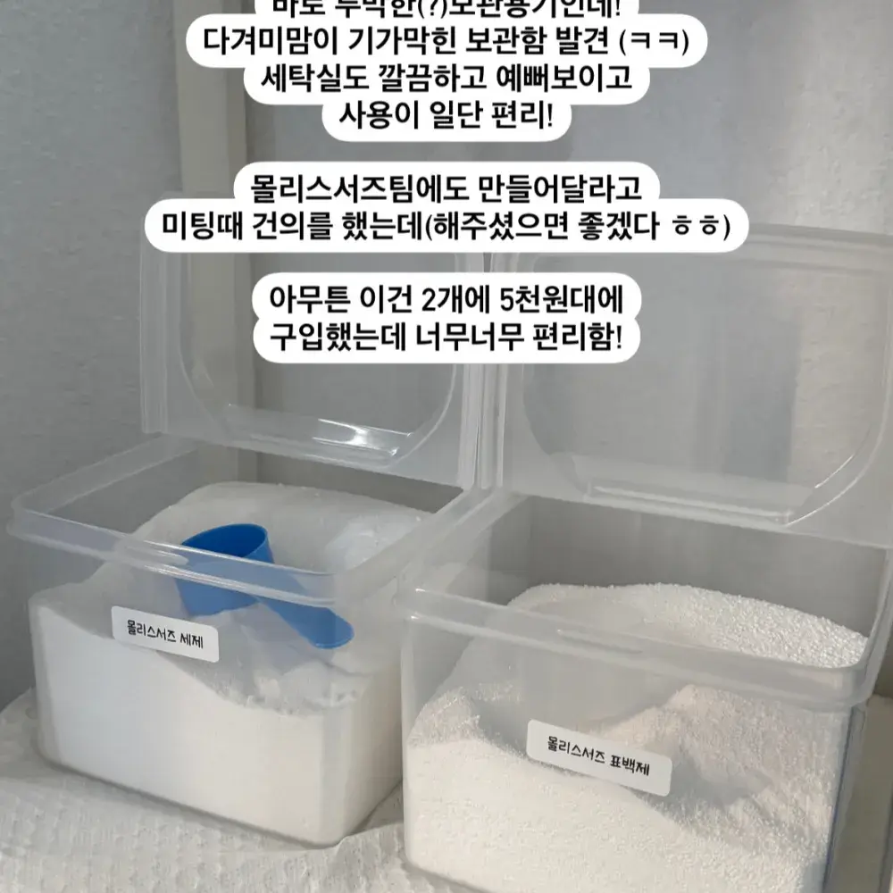 ✅열심히찾아발견한 몰리스서즈 세제보관통 내돈내산